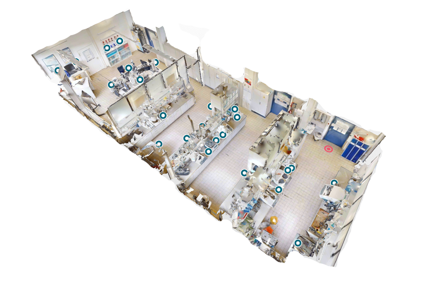 TF-3-Mikroskopie-IMFAA